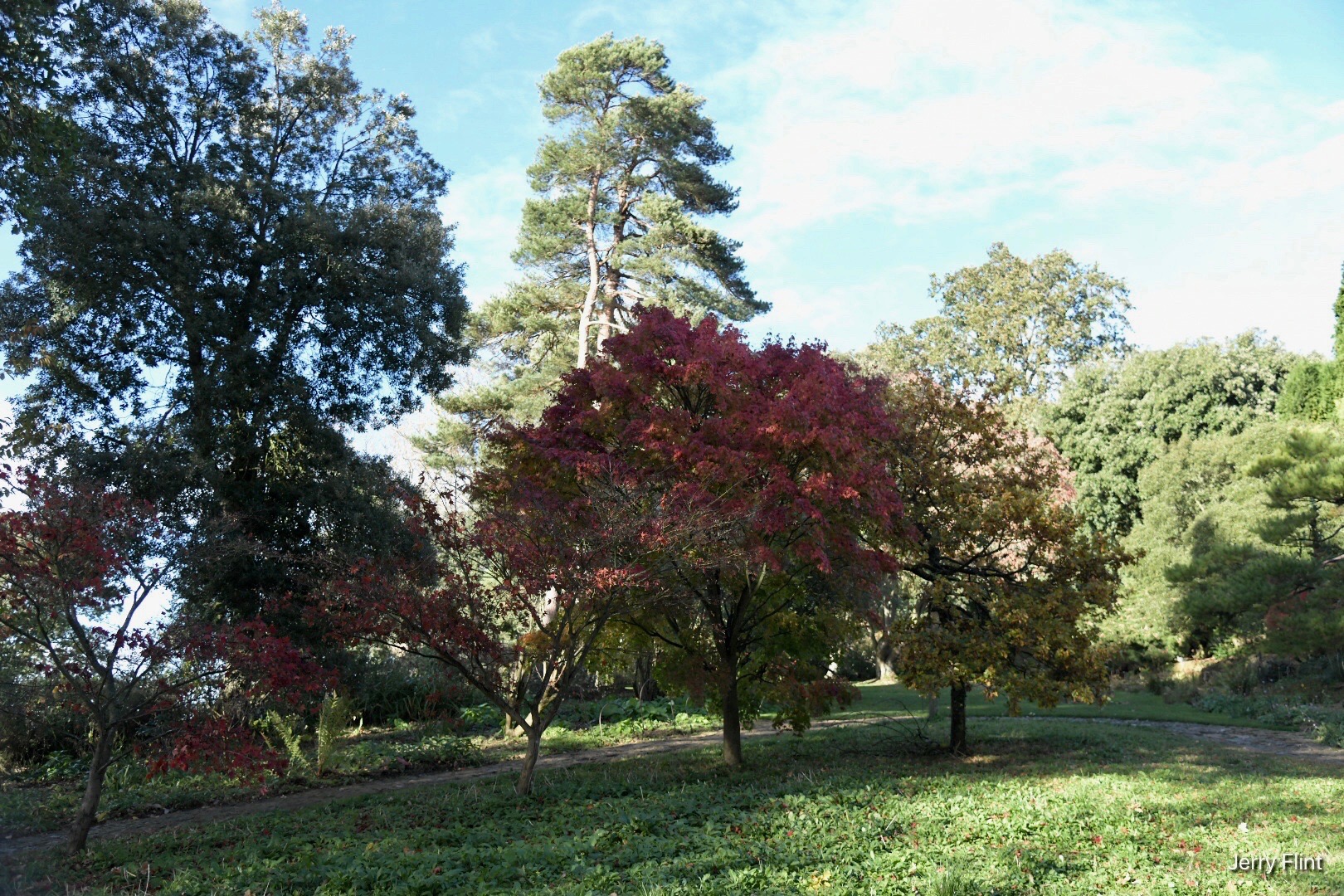 Hidcote – 31 October 2018
