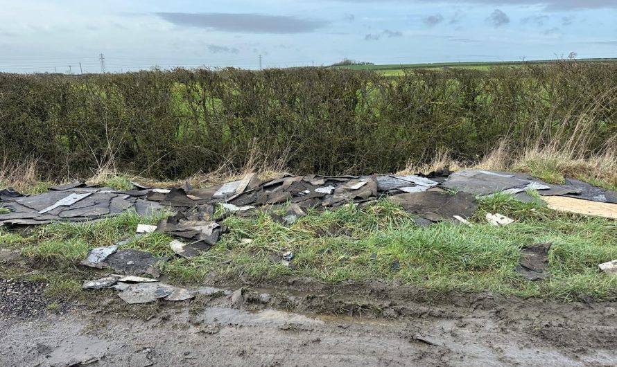 Clearer rules to support councils in fight against litter louts